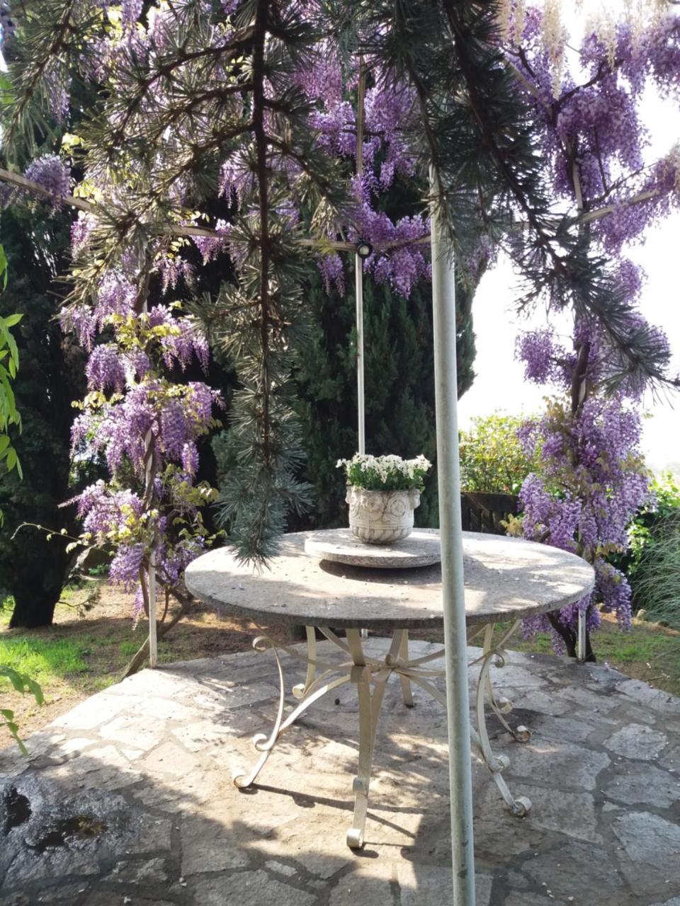 Novecento B&B Bollengo Luaran gambar