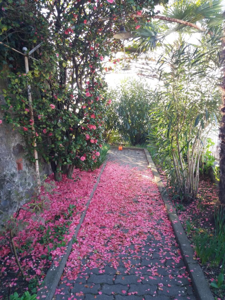 Novecento B&B Bollengo Luaran gambar